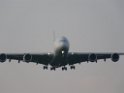 Warten auf den Airbus 380 Koeln Bonn P284